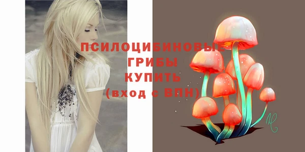 гидра Заволжье
