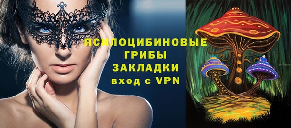 спиды Заводоуковск