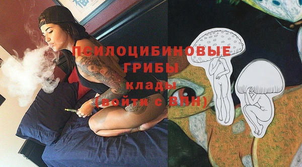 гидра Заволжье