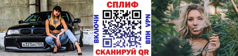 blacksprut ONION  Каргат  Шишки марихуана VHQ 